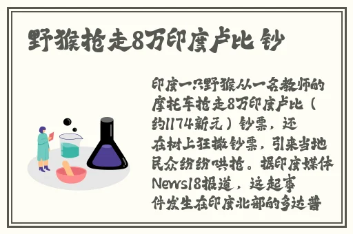 x8x8海外华人免费